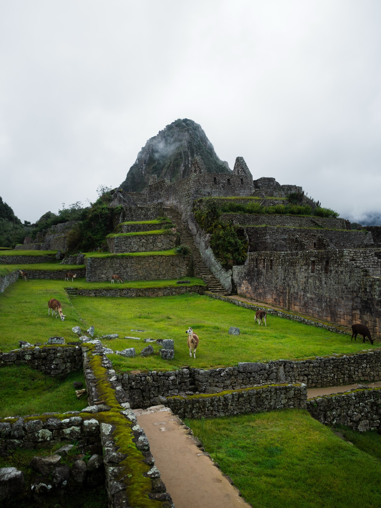 Tourists walking through the stone pathways of Machu Picchu